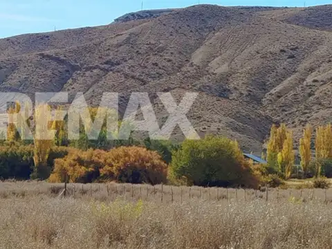 S/Nombre - LOTE 5  Chos Malal Neuquén