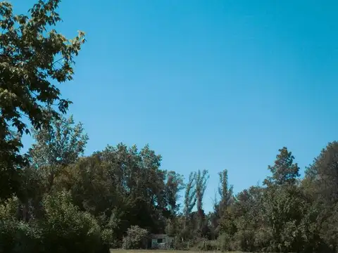 Peter  Tchaicovsky al 7000