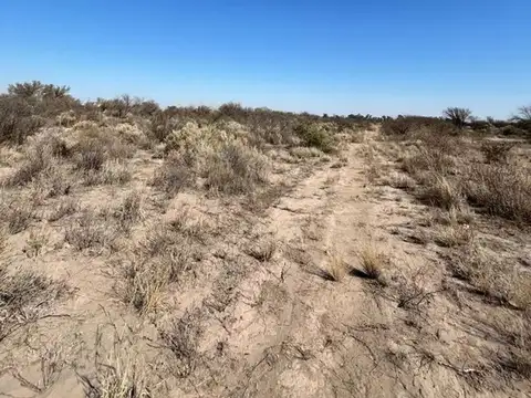 VENTA LOTE LA PAZ MENDOZA OPORTUNIDAD INVERSIÓN