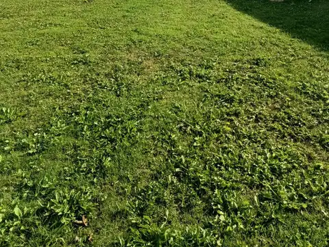 Casa en Venta en Domselaar, USD 33.900