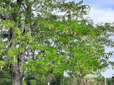 Terreno en Venta en Cañuelas, USD 35.000