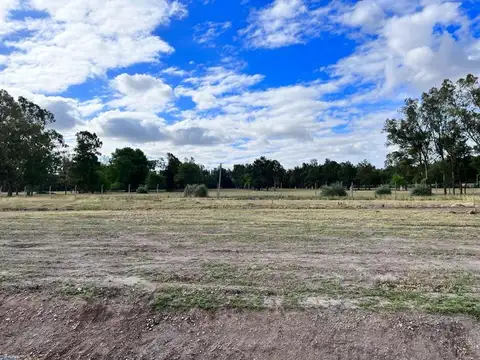 San Martin - Villa Adriana