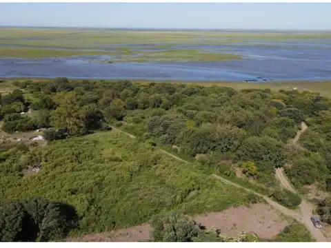 Camino de la Costa 100