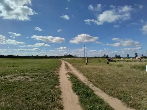 Calle Publica 361 1500