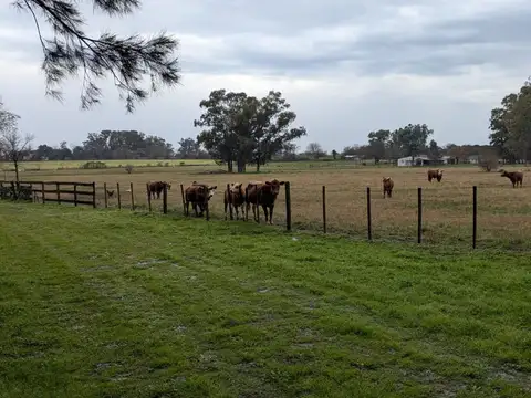 Campo en Venta en Pilar, Partido de Pilar