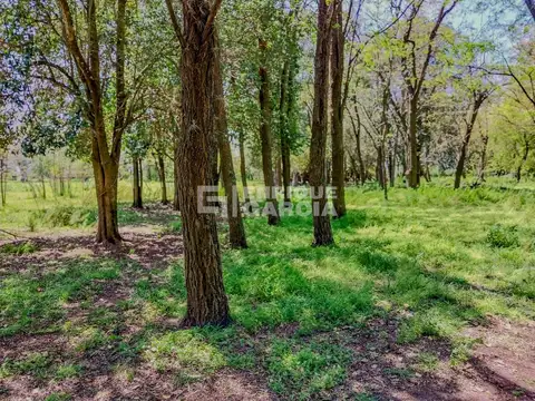 VENTA CHACRA CON CASA DE CAMPO GALPON COCHERA BENQUERENCIA