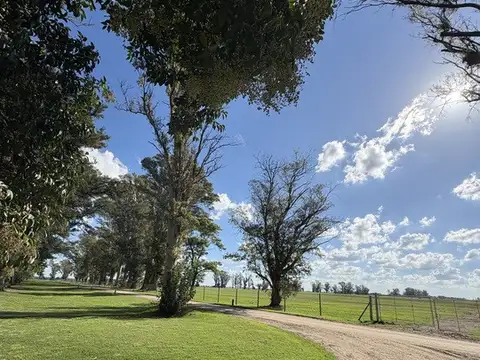 Terreno en Venta de 1300,0 m2