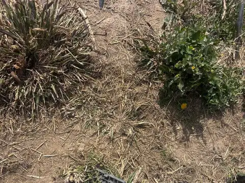 Terreno en Venta en Buena Nueva, USD 8.900