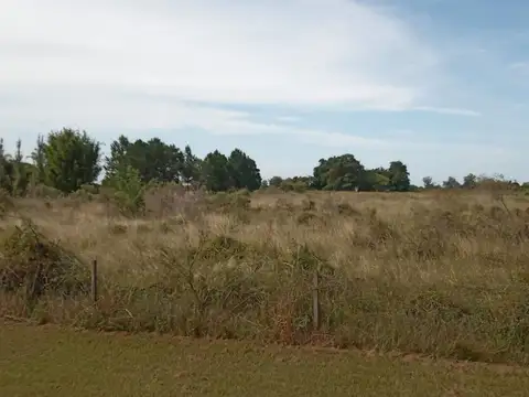 VENTA 2 Ha ARROYO LEYES