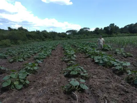 Terreno en Venta de 500000,0 m2