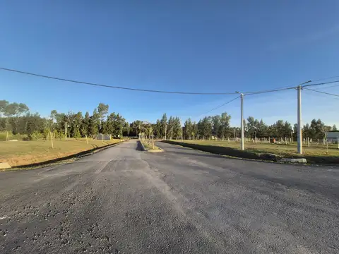 LOTE B° CARDALES CHICO