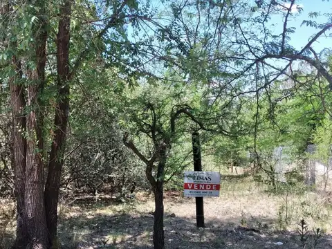 Terreno en Venta en Los Reartes, USD 25.000