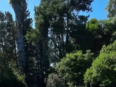 Alberdi 1200 , Piso No definido