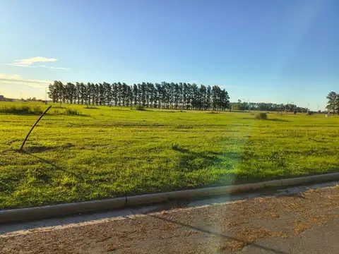 Terreno en Venta de 600,0 m2