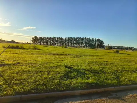 Terreno en Venta en General Lagos, Rosario