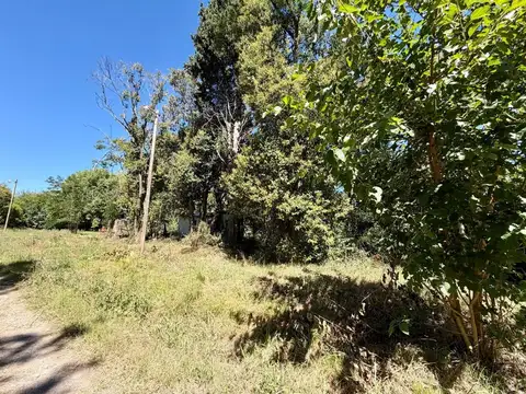 Terreno en Venta 25  mts Frente