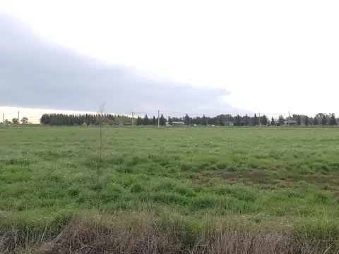 Terreno en Venta en Coronel Brandsen, USD 10.000