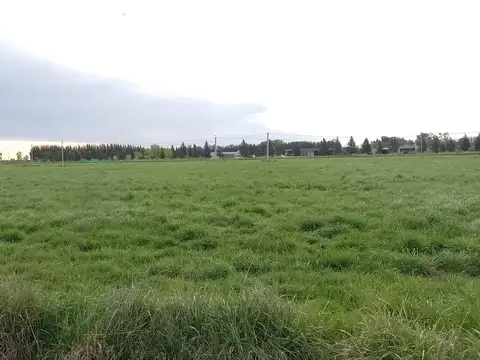 Terreno en Venta 40  mts Frente