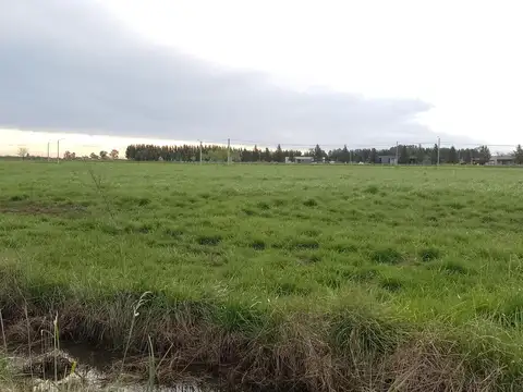 Venta Lote Campo De Roca II