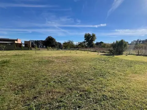 Quinta en venta - 6 Dormitorios 4 Baños - Suipacha