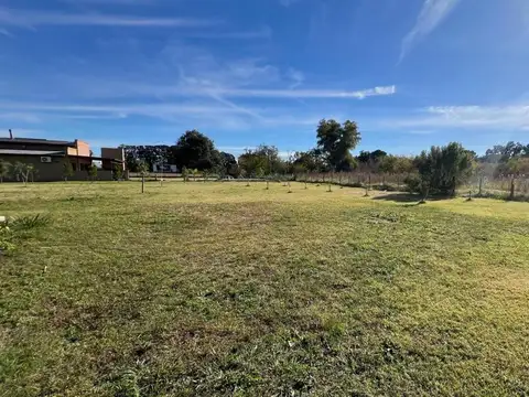 Quinta en venta - 6 Dormitorios 4 Baños - Suipacha