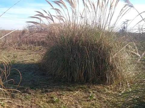 Terreno en Venta en Junín, USD 25.000