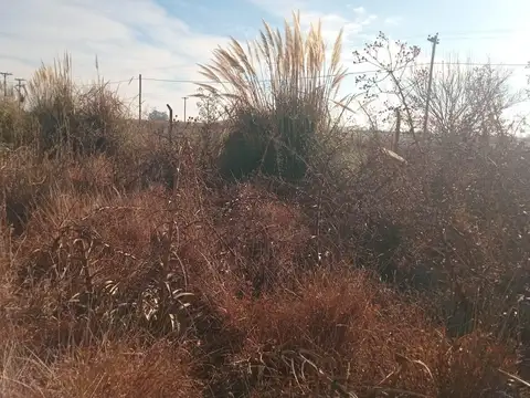Terreno en Venta en Junín, USD 25.000