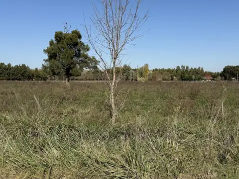 Terreno en Venta de 5610,0 m2