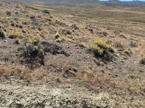 Campo de 2500 ha en Costa Del Lepa