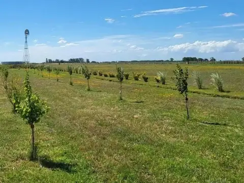 Terreno en Venta de 5000,0 m2