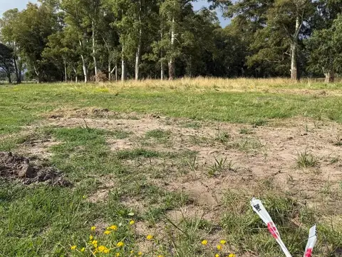 Terreno en Venta de 637,0 m2