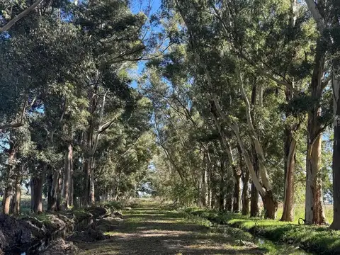 Ruta 3, Km 72, Cañuelas