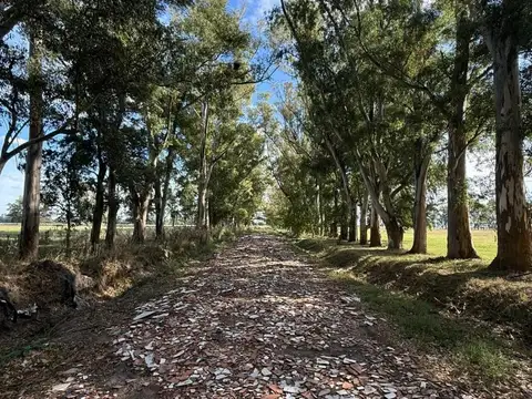 Oportunidad Lote de 637 m²  