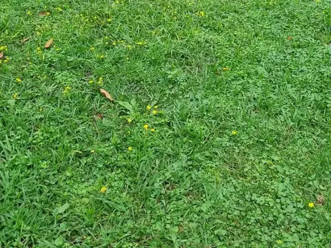 Lote en venta con Pileta, en La Loma, Del Viso, Pilar! RETASADO