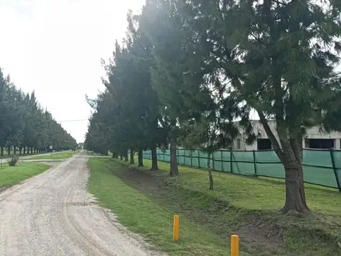 Terreno en Venta en Campos De Roca, USD 13.000