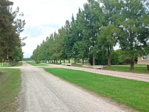 Ruta 2 km 100