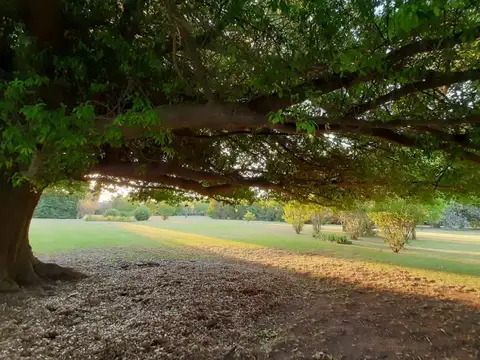 Terreno en Venta en Manzanares, USD 150.000