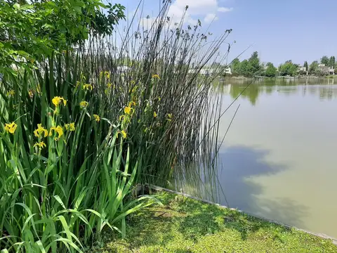 Rio Hondo al 500