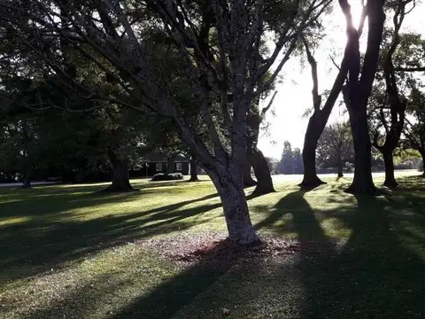 Terreno en Venta 48  mts Fondo