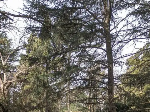 Miguel De Unamunu 6200