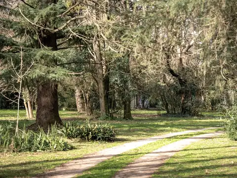 Miguel De Unamunu 6200