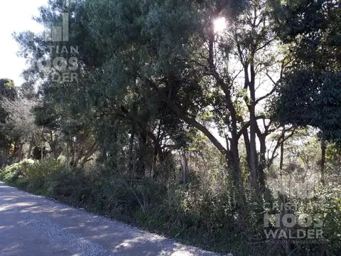 Terreno en Venta 20  mts Frente