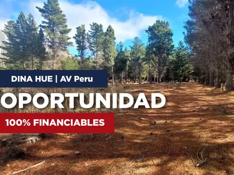 Terreno en Venta en Dina Huapi, Pilcaniyeu