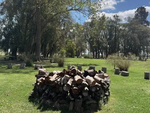 Terreno en Venta de 1000,0 m2