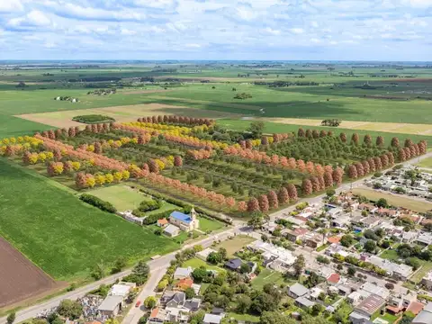 Gaia barrio en general lagos 