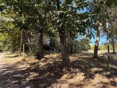 Parque Las Naciones, Ruta 210