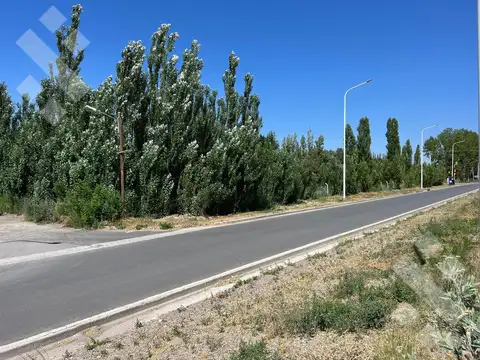 Terreno en Alquiler en Plottier, $ 1.800.000