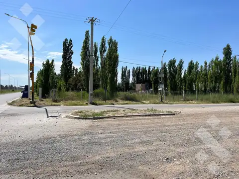 En Alquiler | Lote Comercial de 5.000 m2 | Av. Mosconi y Felipe Sapag | Plottier