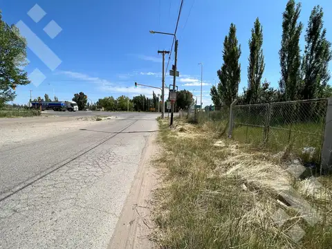 En Alquiler | Lote Comercial de 5.000 m2 | Av. Mosconi y Felipe Sapag | Plottier
