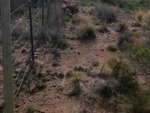 la crucecita , Piso 0